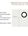 Spatial layout option with rug sizes and furniture arrangement notes on a white background